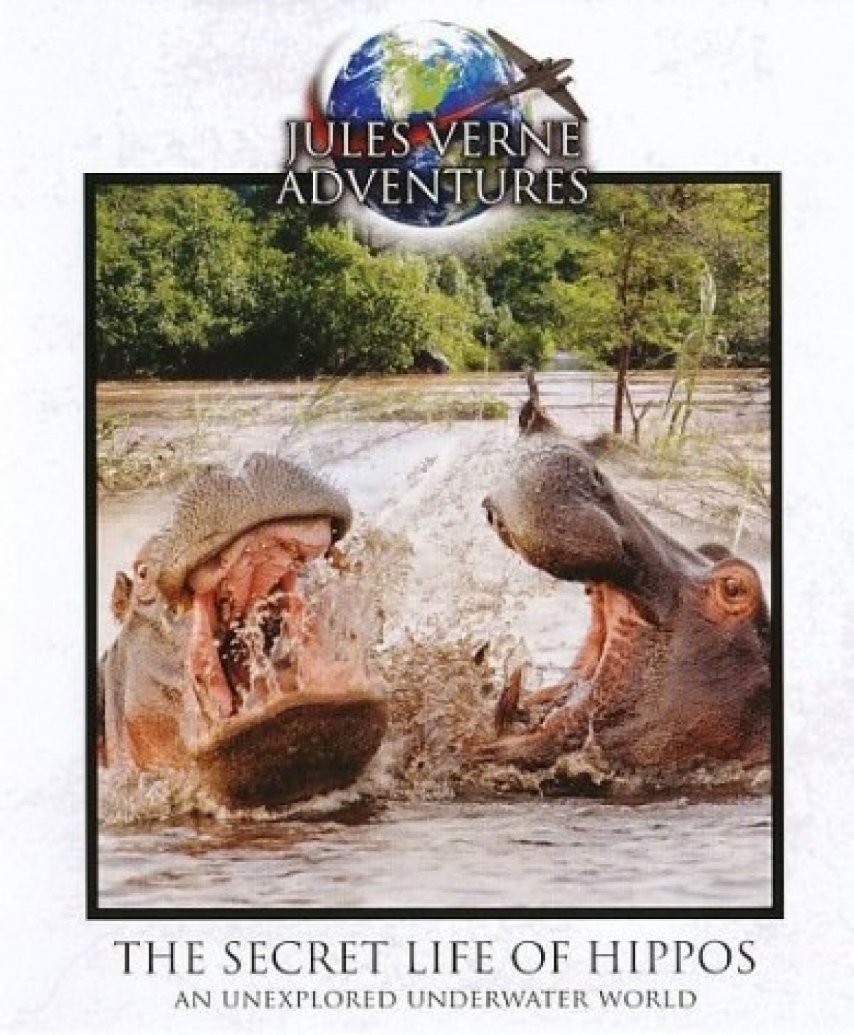 Afbeelding van Jules Verne - The Secret Life Of Hippos