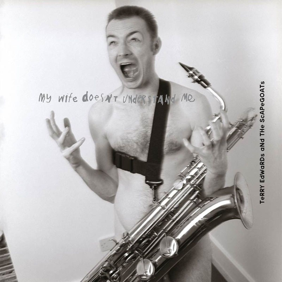 Afbeelding van Terry Edwards & The Scapegoats - My Wife Doesn't Understand Me