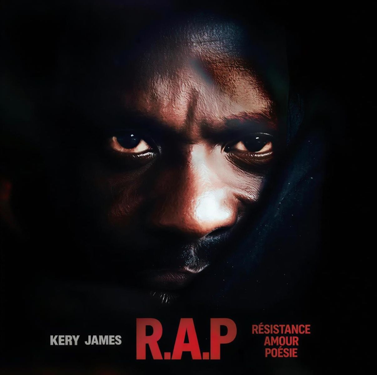 Afbeelding van Kery James - R.A.P
