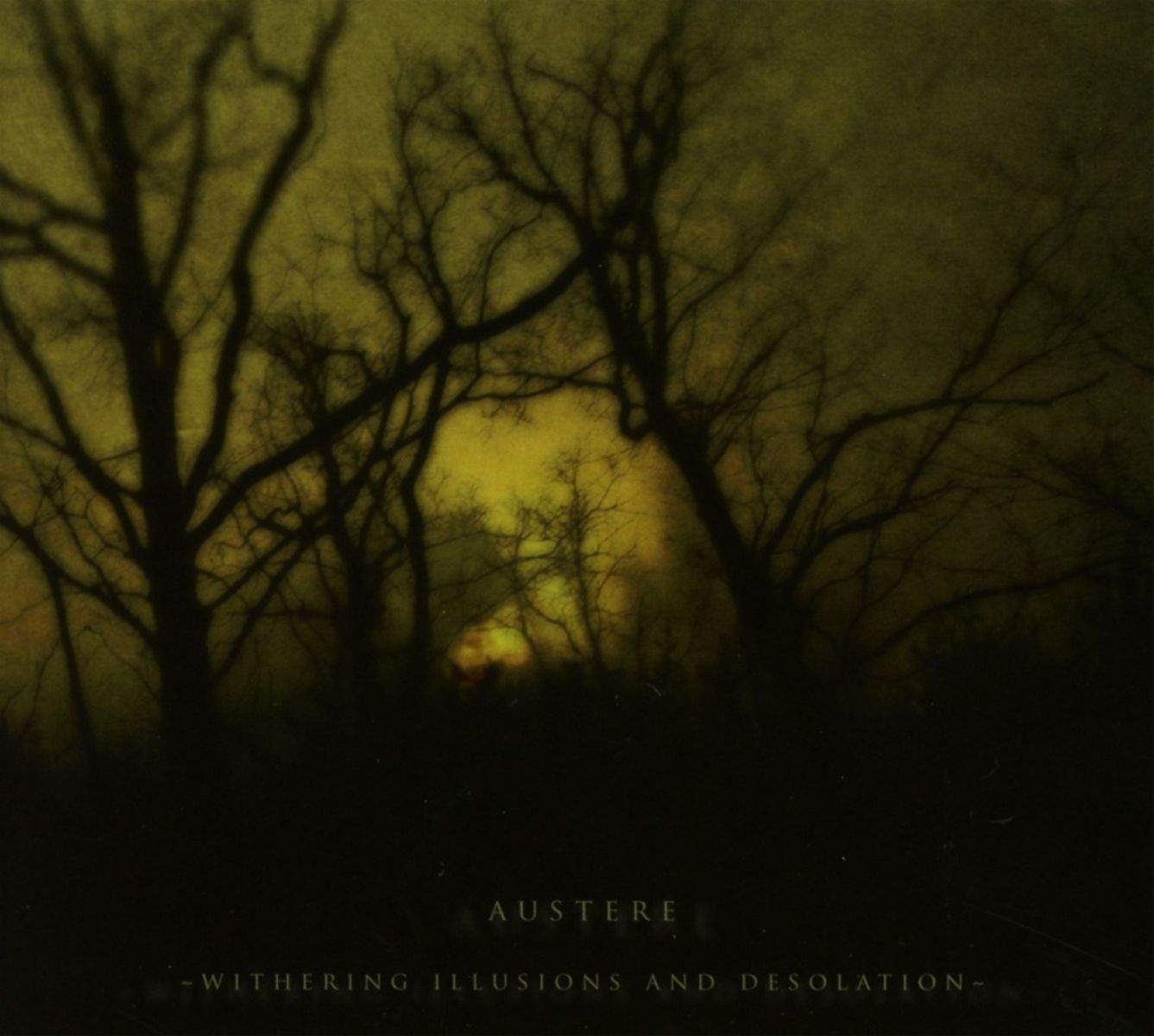 Austere - Withering Illusions And Desolation