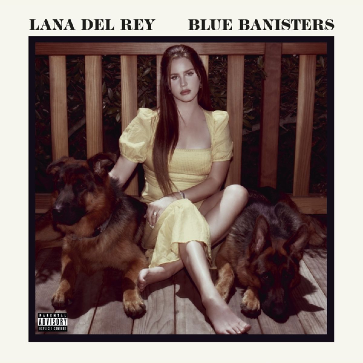 Afbeelding van Lana Del Rey - Blue Banisters