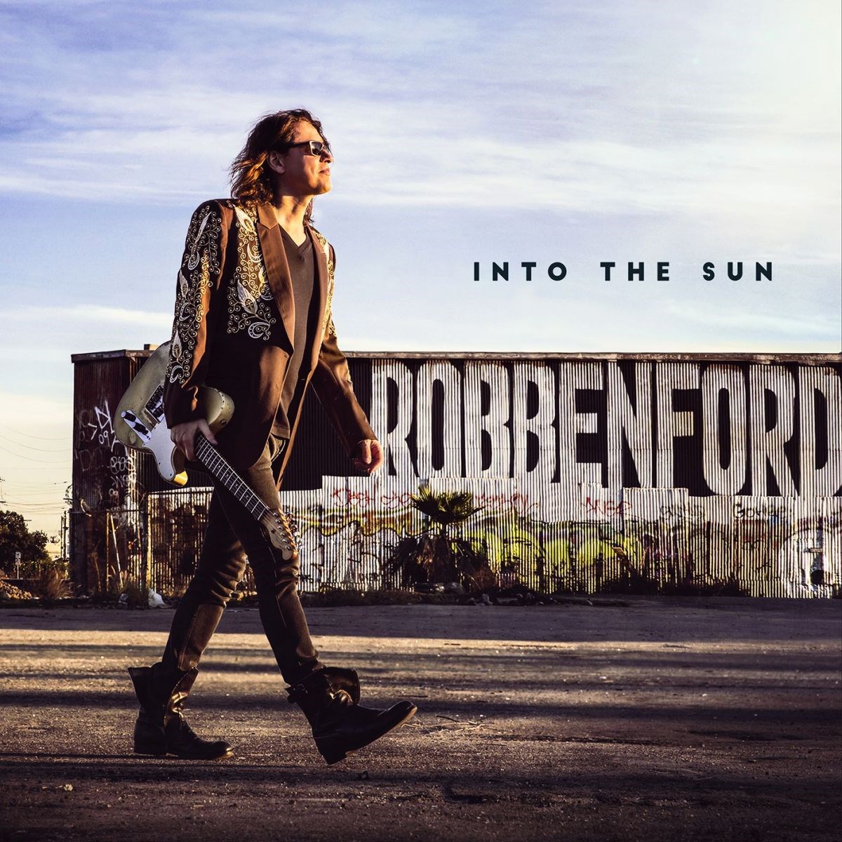 Afbeelding van Into The Sun