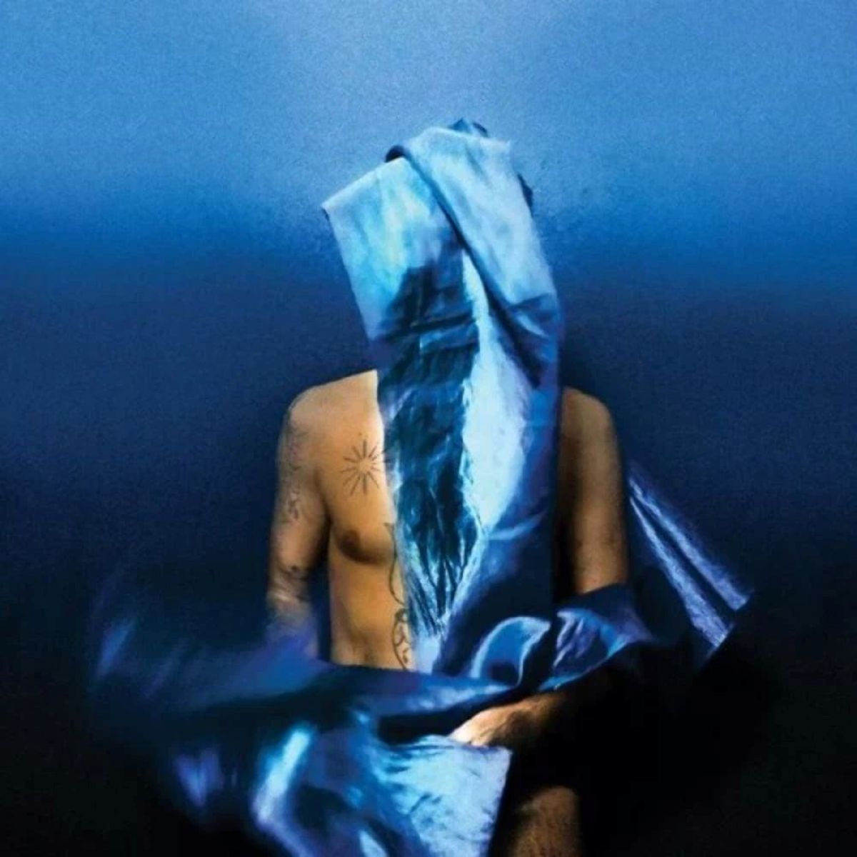 Afbeelding van Devendra Banhart - Flying Wig