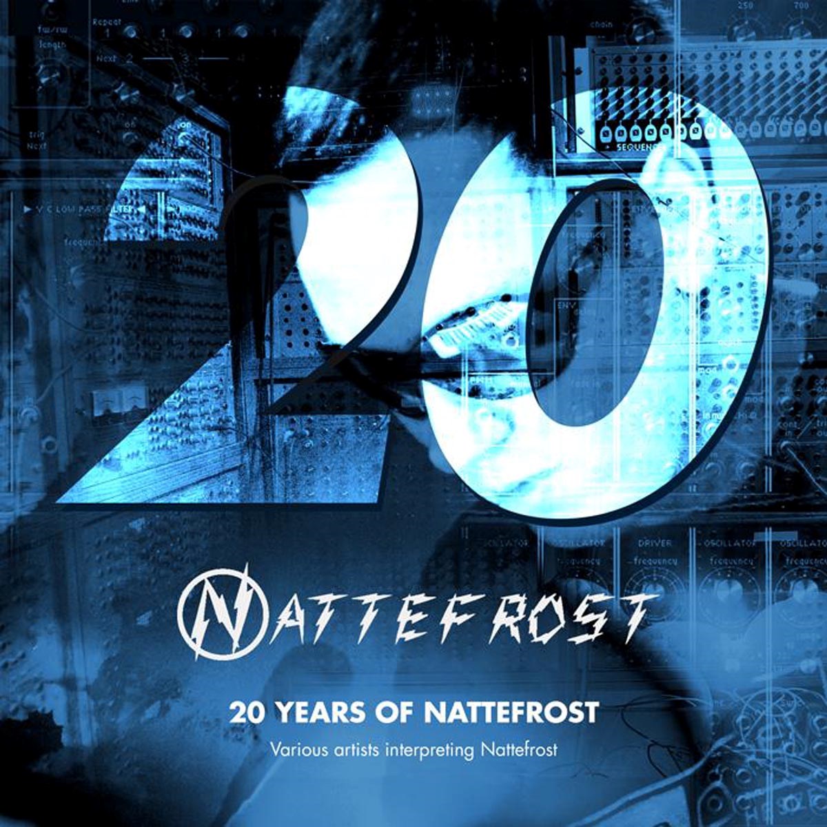 Various Artists - 20 Years Of Nattefrost