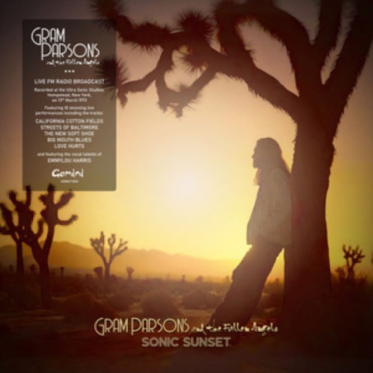 Afbeelding van Gram Parsons & The Fallen Angels Featuring Emmylou Harris - Sonic Sunset '73