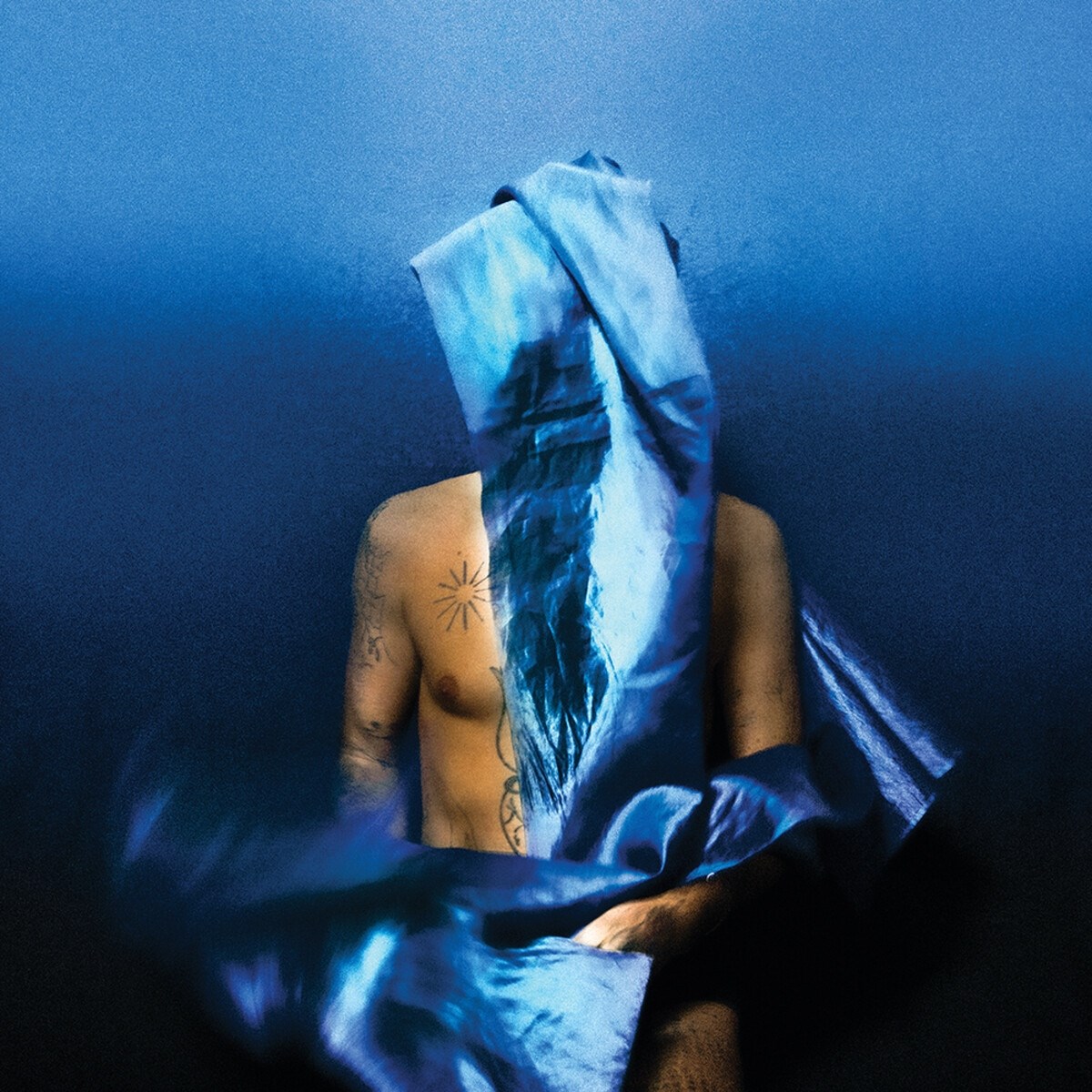 Afbeelding van Devendra Banhart - Flying Wig