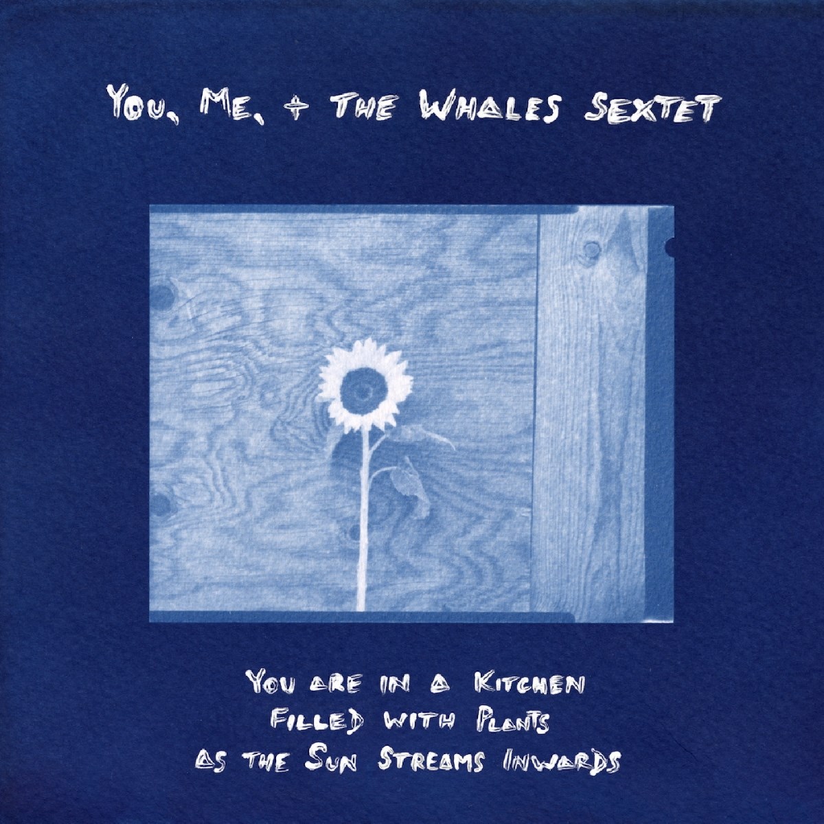 You, Me, + The Whales Sextet - You Are In A Kitchen Filled With Plants As The Sun Streams Inwards