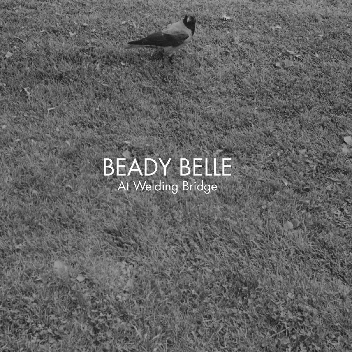 Afbeelding van Beady Belle - At Welding Bridge