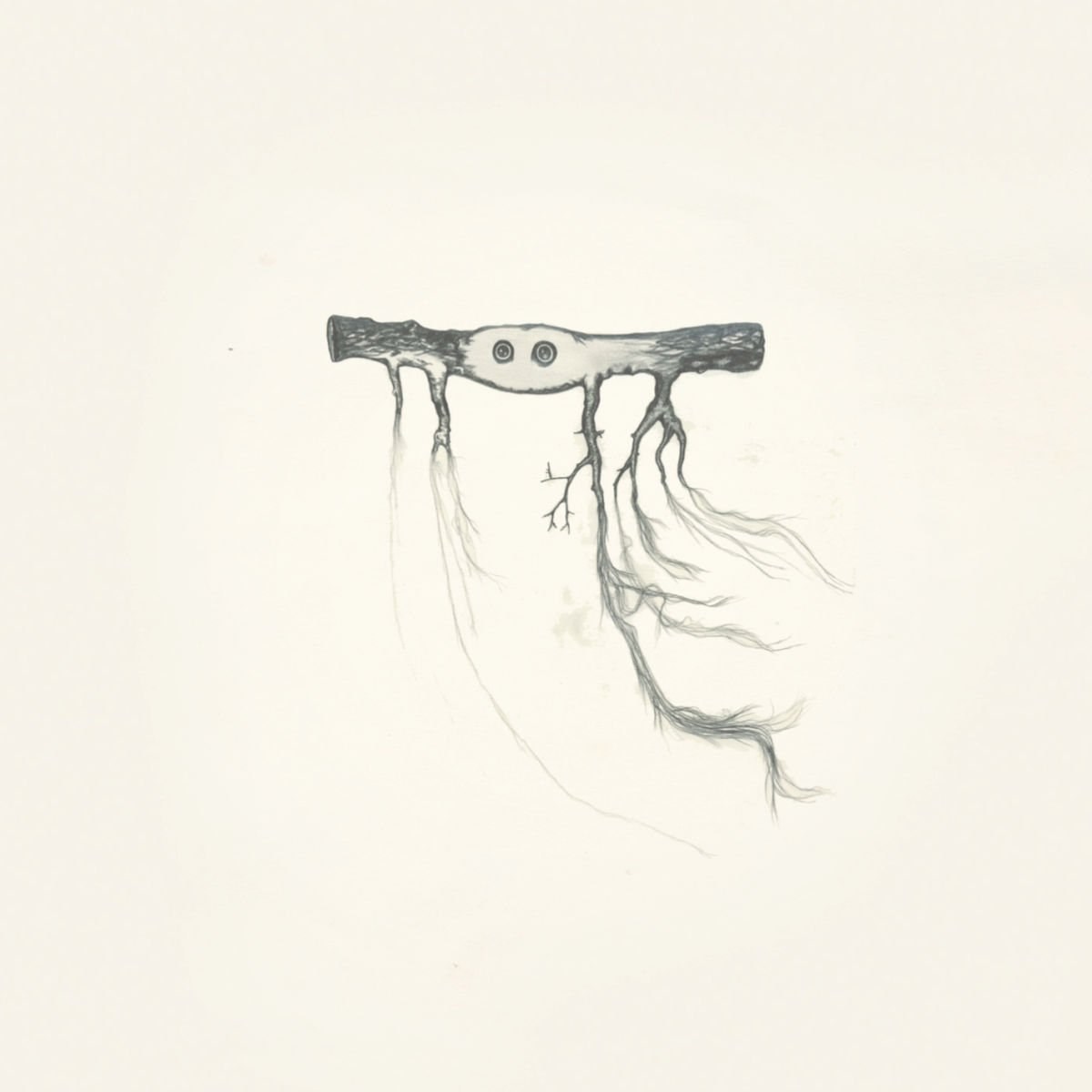 Afbeelding van José González - In Our Nature