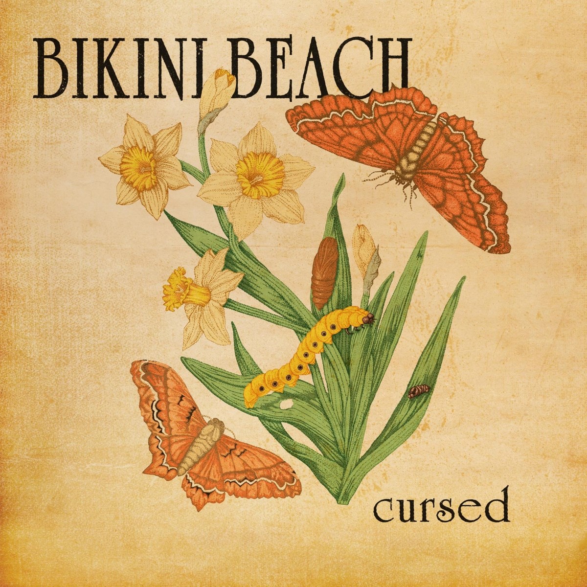 Afbeelding van Bikini Beach - Cursed