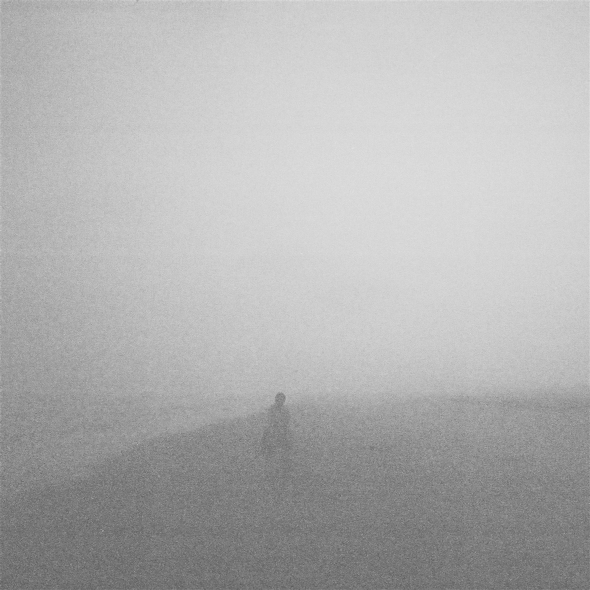 Afbeelding van Jon Porras - Achlys