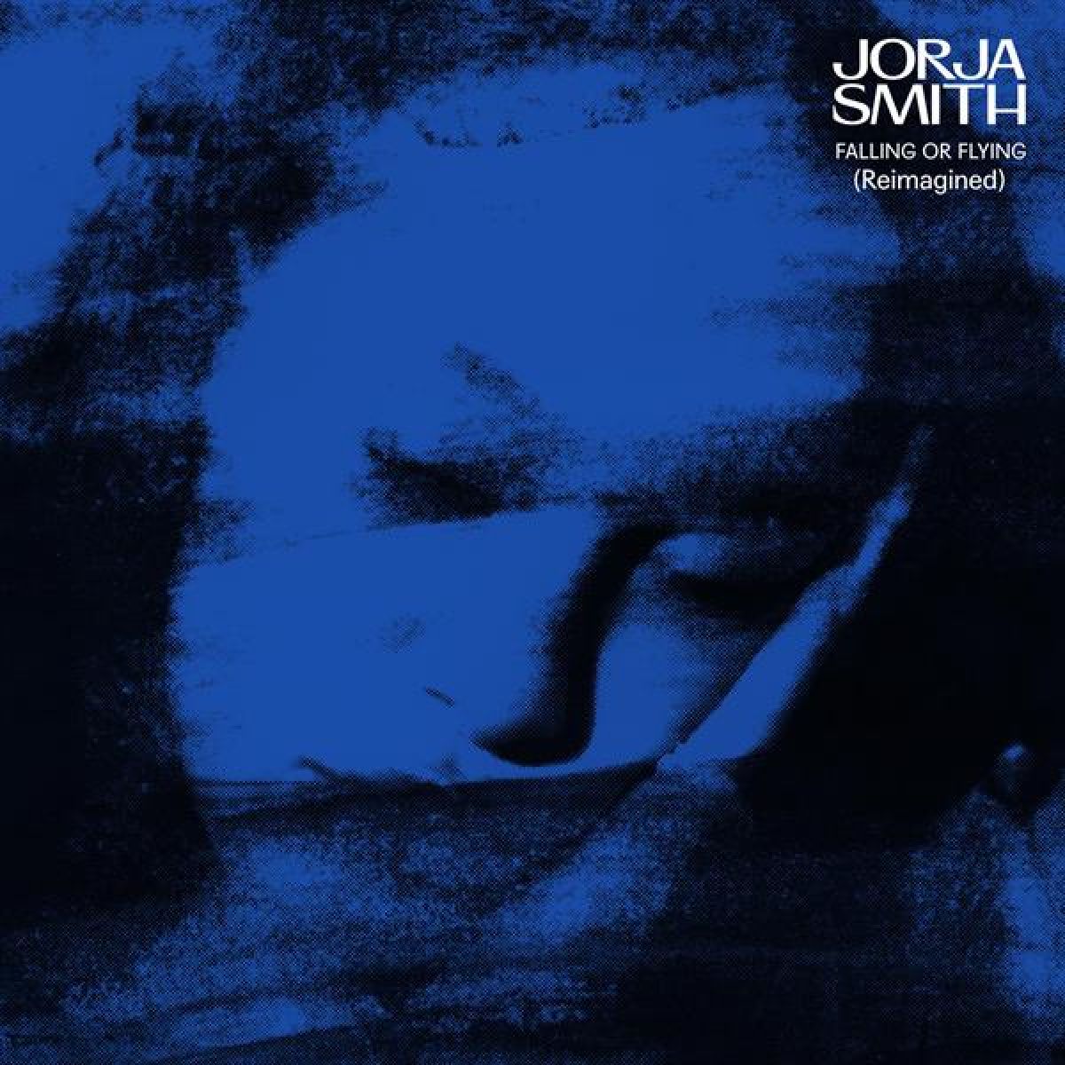 Afbeelding van Jorja Smith - Falling Or Flying (Reimagined)