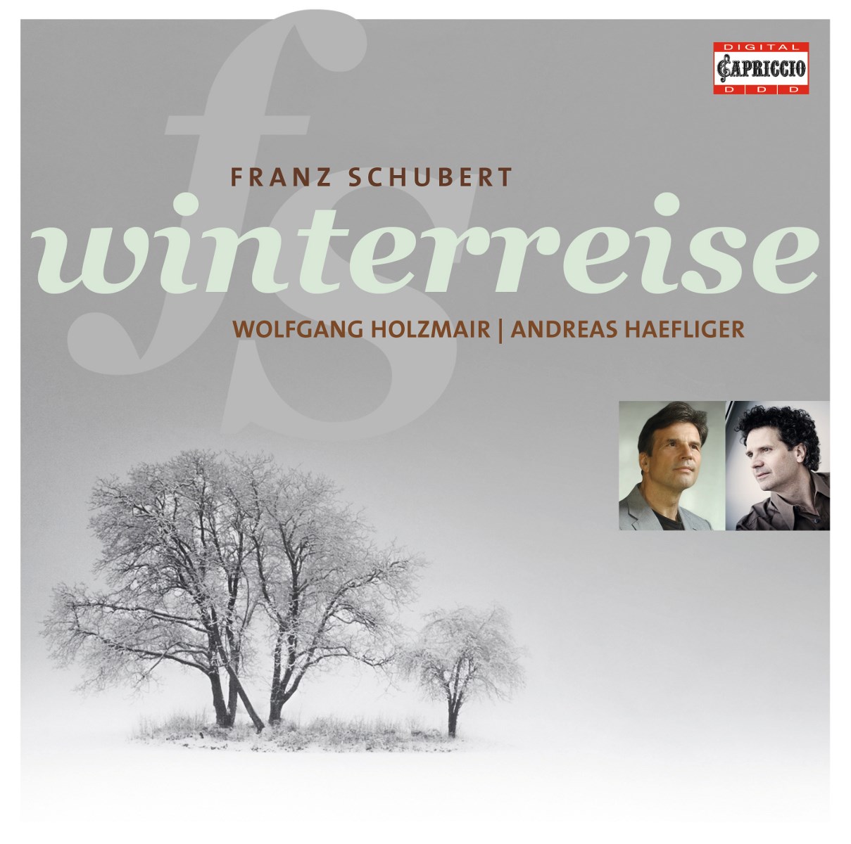 Afbeelding van Wolfgang Holzmair & Andreas Haefliger - Schubert: Winterreise