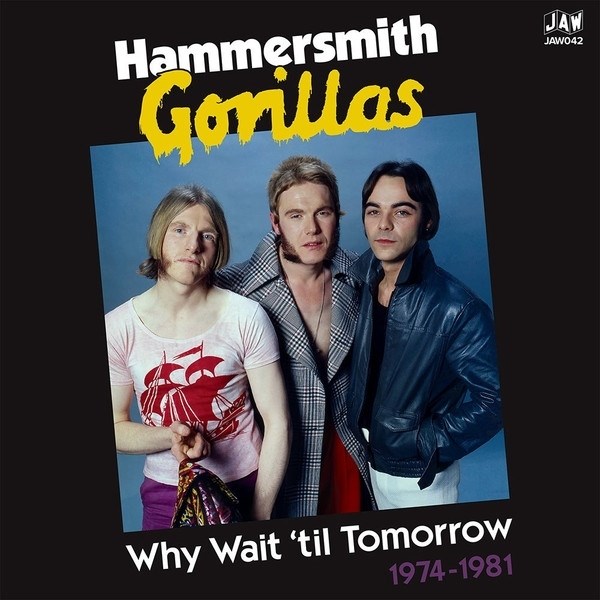 Afbeelding van Hammersmith Gorillas - Why Wait Until Tomorrow 1974-1981