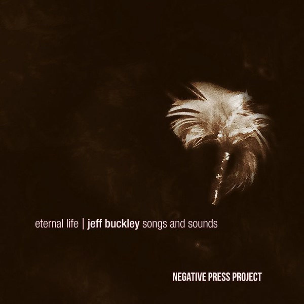 Afbeelding van Negative Press Project - Eternal Life: Jeff Buckley Songs and Sounds