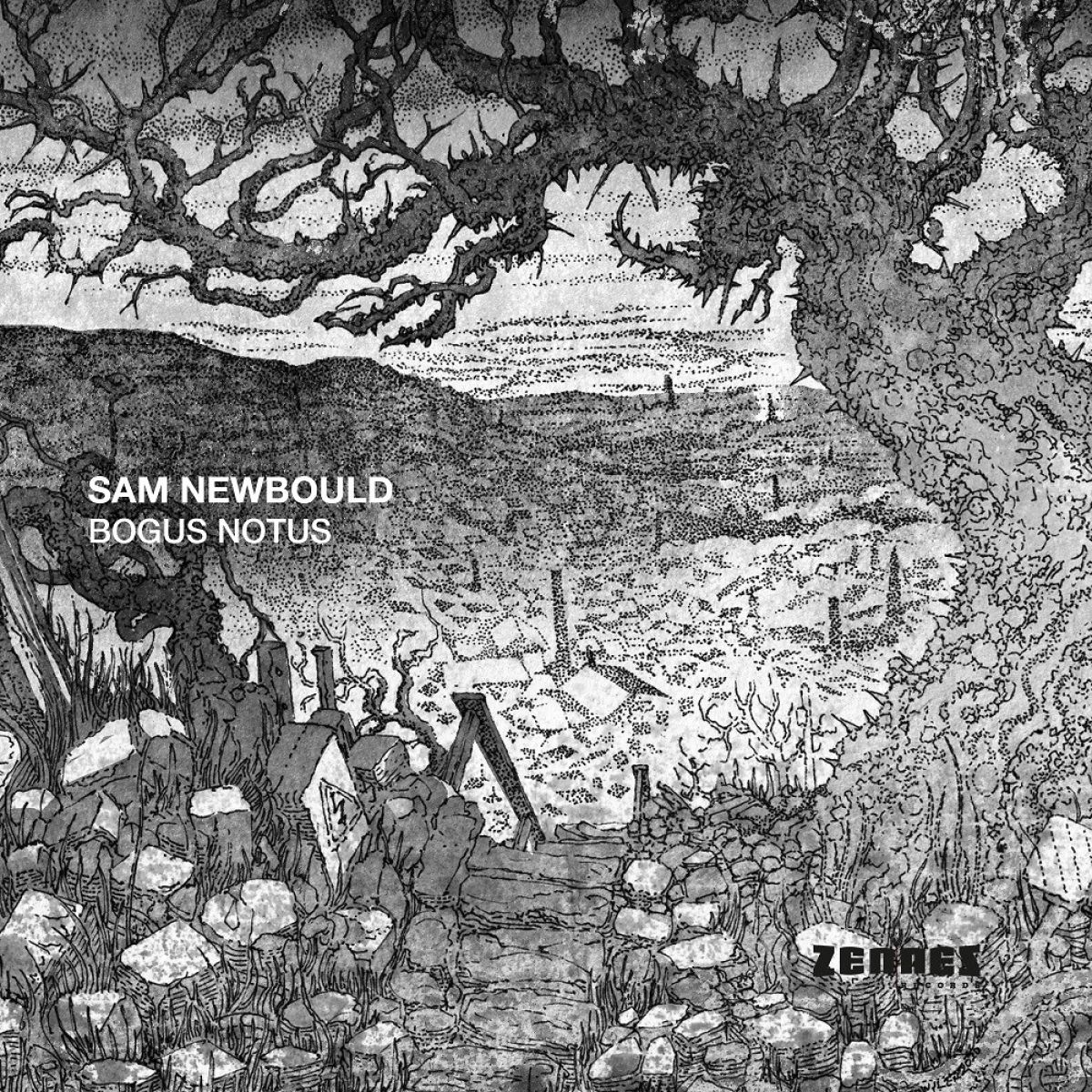 Afbeelding van Sam Newbould - Bogus Notus