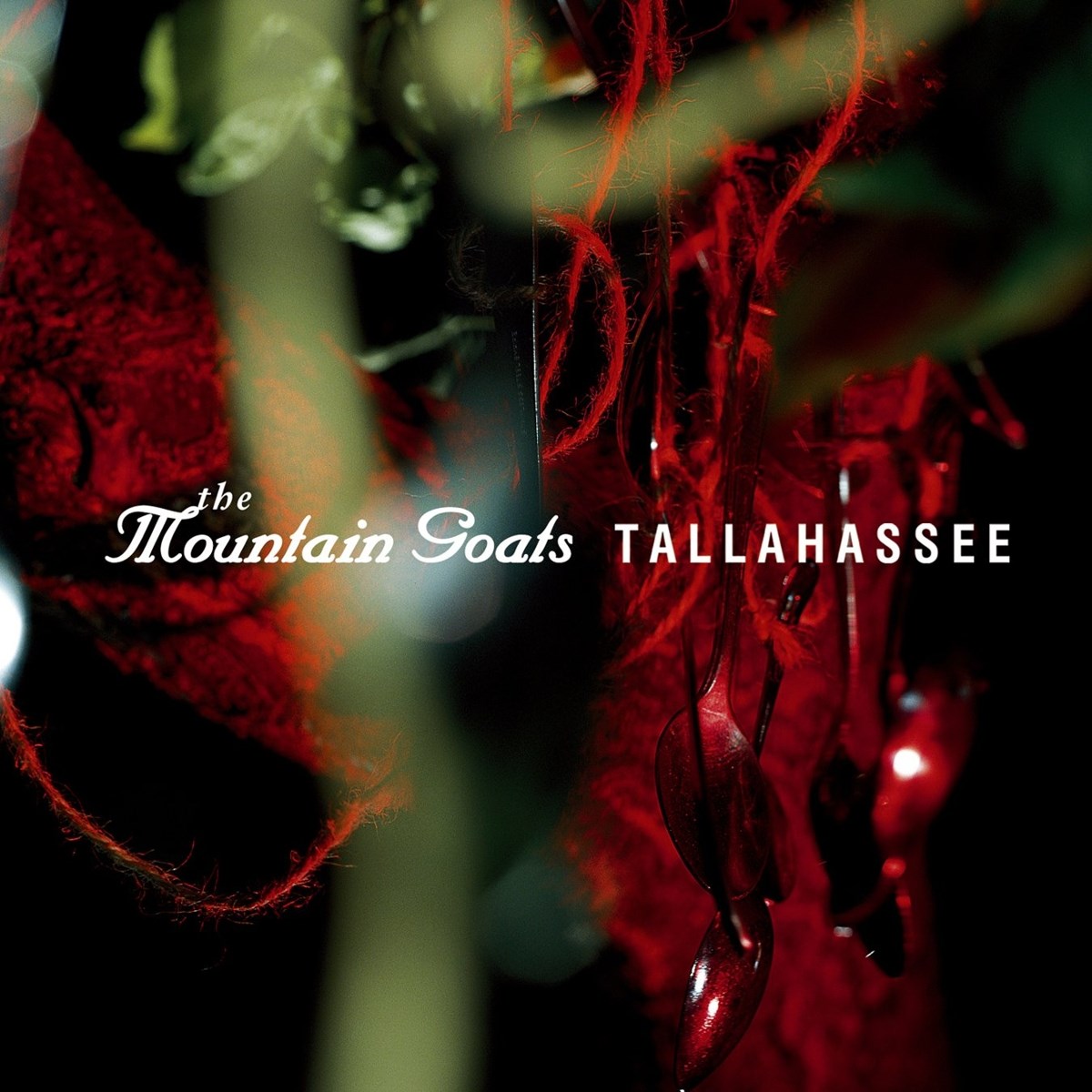 Afbeelding van Mountain Goats - Tallahassee