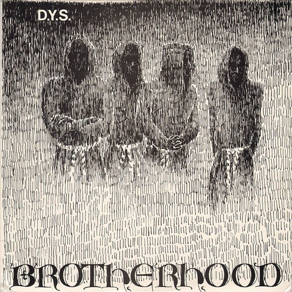Afbeelding van D.Y.S. - Brotherhood