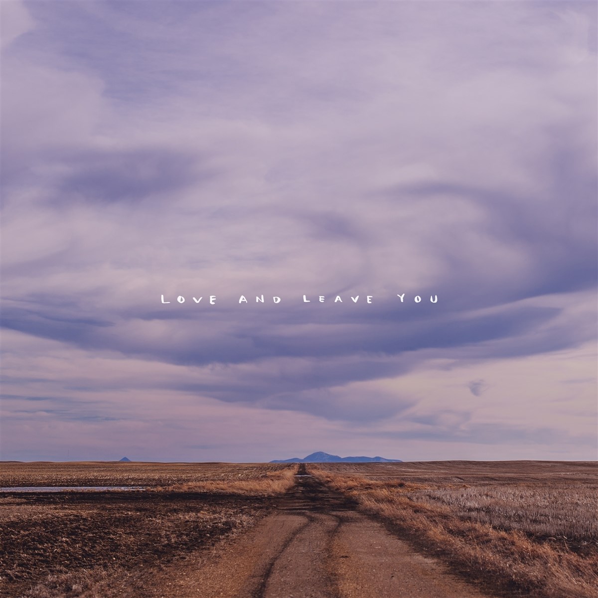 Afbeelding van 100 Mile House - Love And Leave You