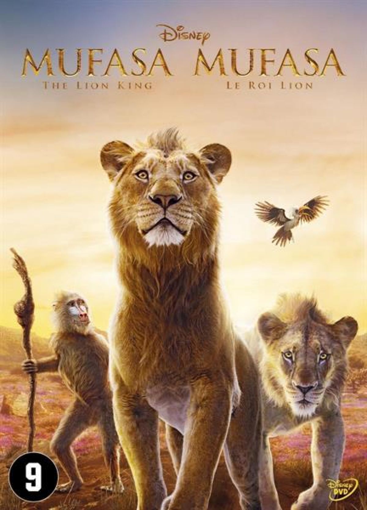 Afbeelding van Mufasa - The Lion King