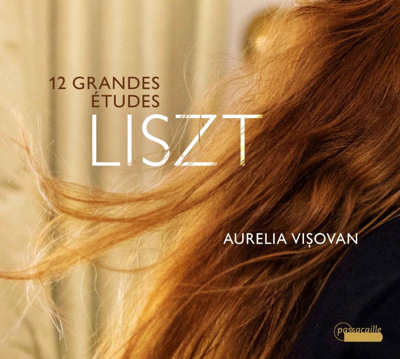 Afbeelding van Aurelia Visovan - Liszt: 12 Grandes Etudes