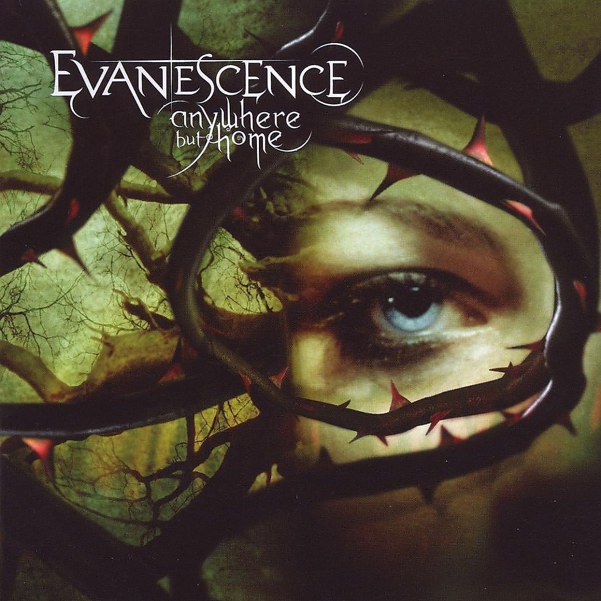 Afbeelding van Evanescence - Anywhere But Home