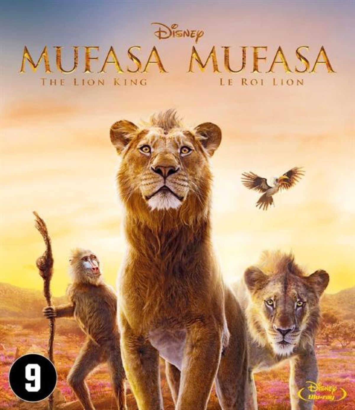 Afbeelding van Mufasa - The Lion King