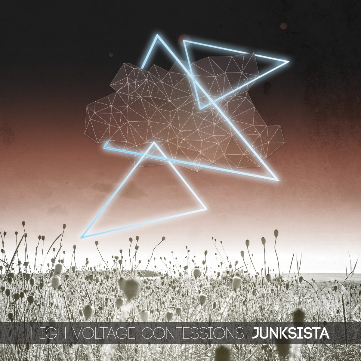 Afbeelding van Junksista - High Voltage Confessions