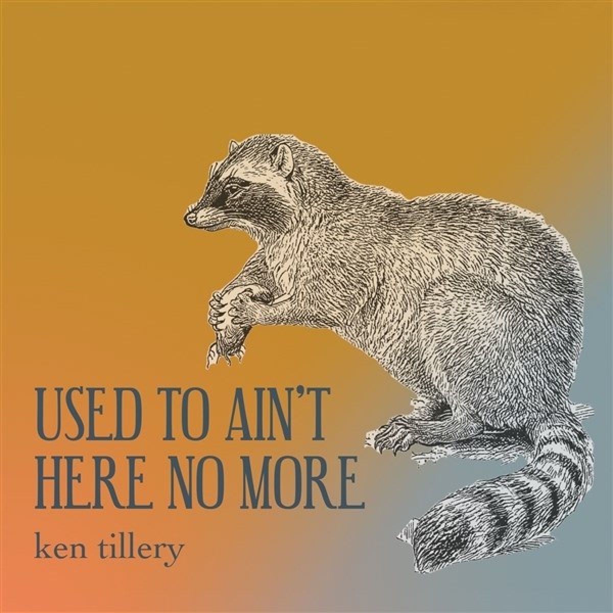 Afbeelding van Ken Tillery - Used To Ain't Here No More