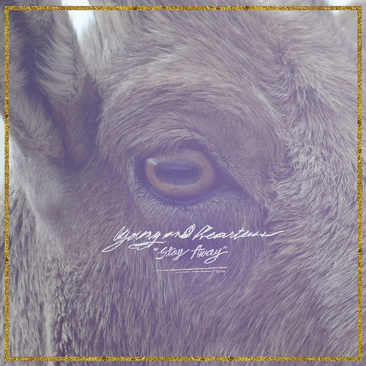 Afbeelding van Young And Heartless - Stay Away