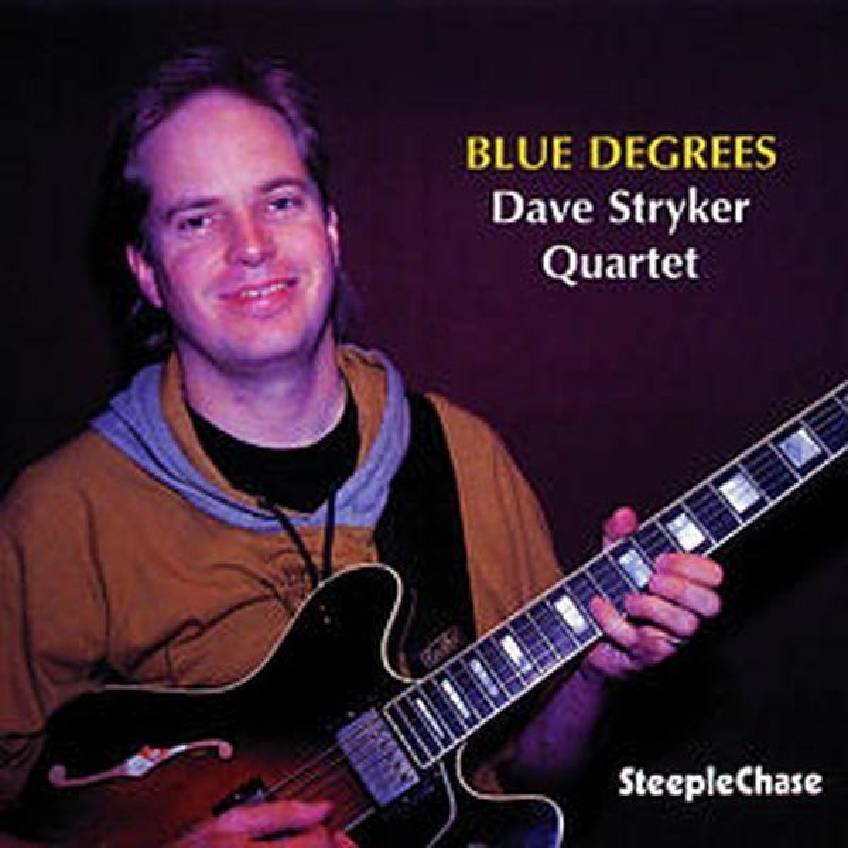 Afbeelding van Dave Stryker - Blue Degrees