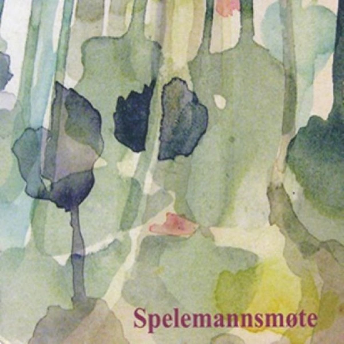 Afbeelding van Various Artists - Spelemannsmøte