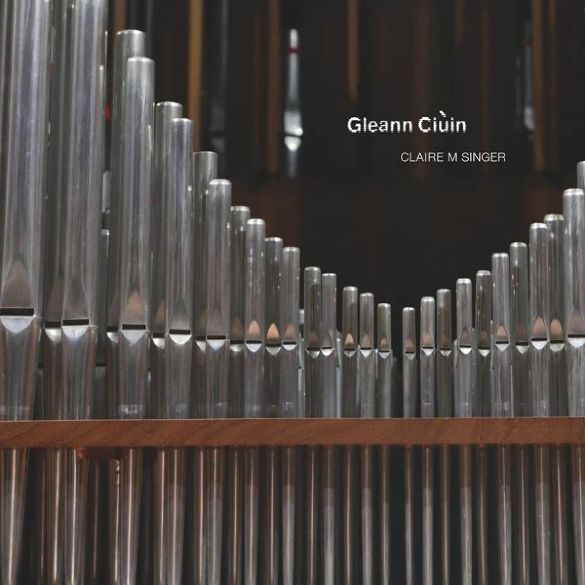Afbeelding van Claire M. Singer - Gleann Ciuin