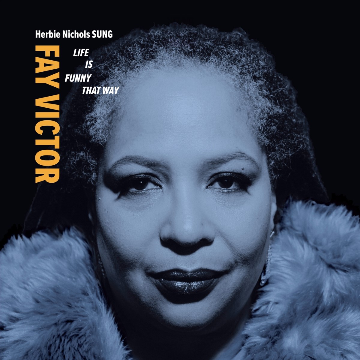 Afbeelding van Fay Victor & Herbie Nichols Sung - Life Is Funny That Way