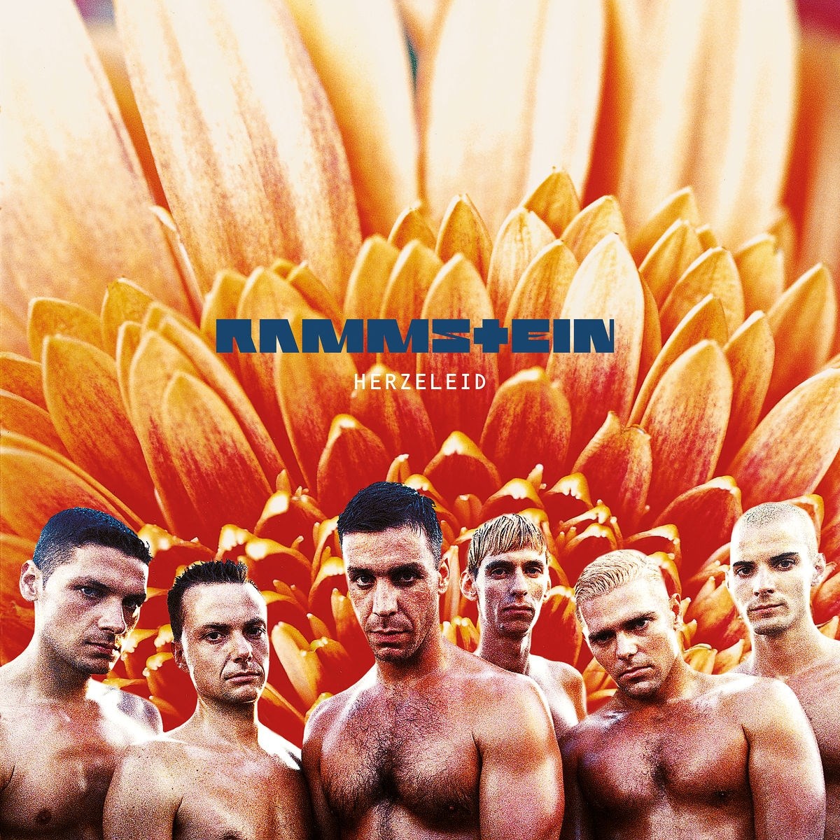 Afbeelding van Rammstein - Herzeleid