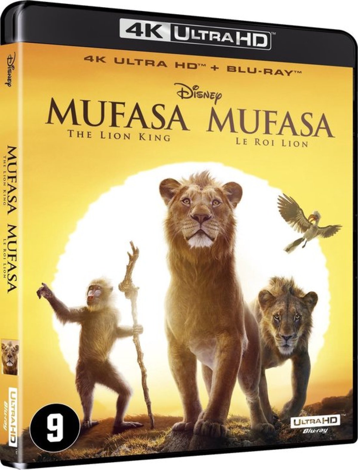 Afbeelding van Mufasa - The Lion King
