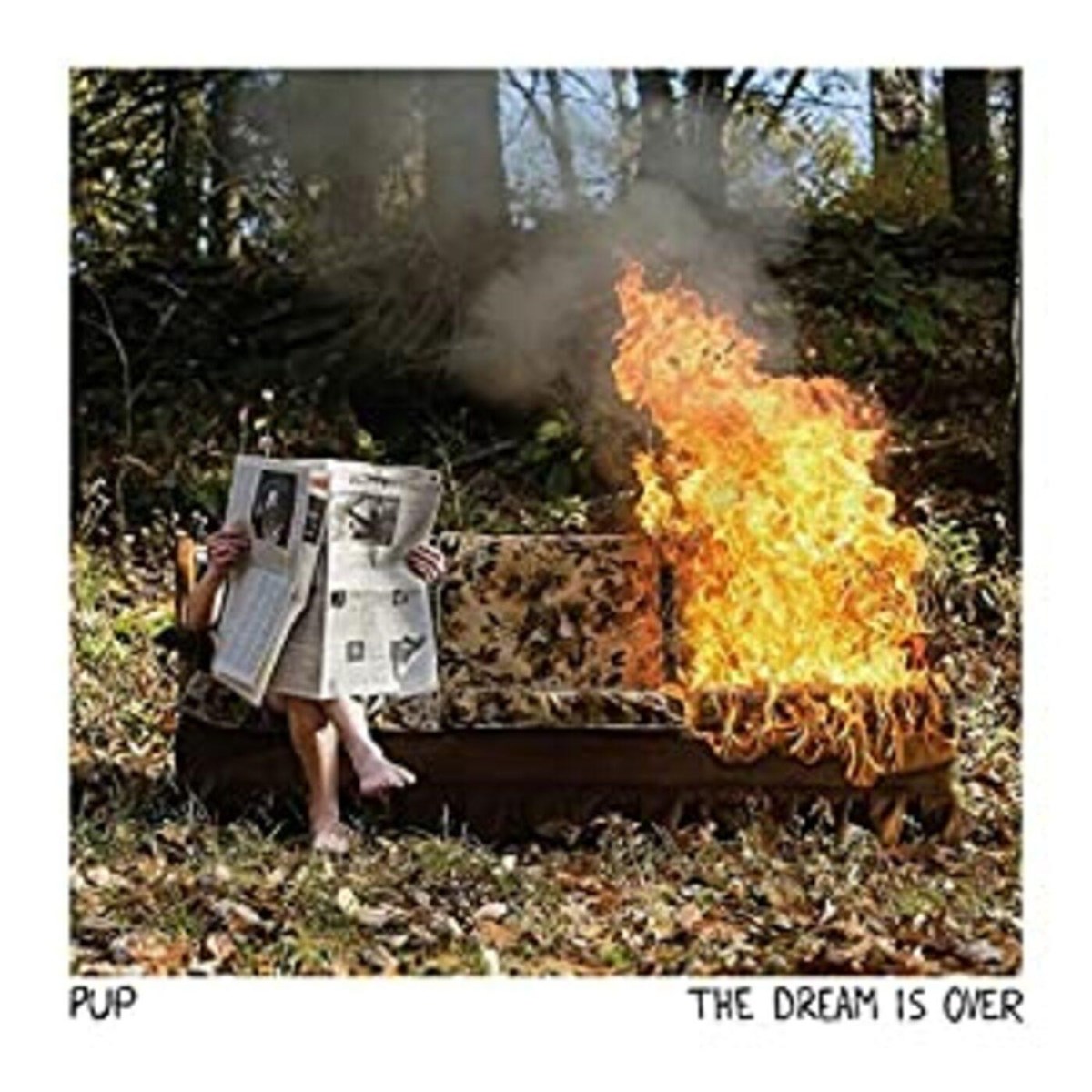 Afbeelding van Pup - The Dream Is Over