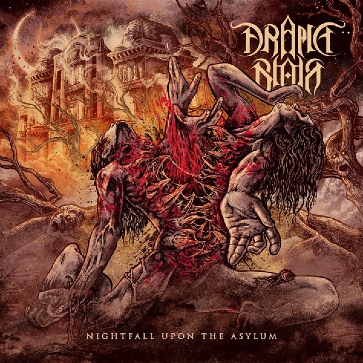 Drama Noir - Nightfall Upon The Asylum