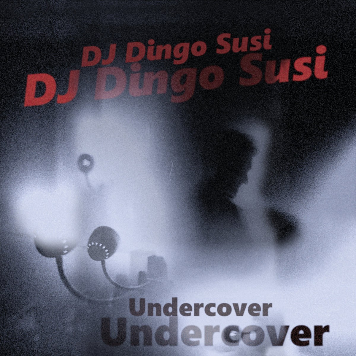 Afbeelding van DJ Dingo Susi - Undercover