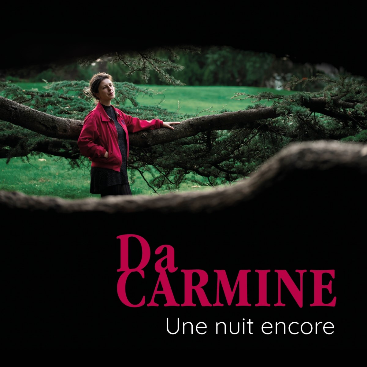 Afbeelding van Da Carmine - Une Nuit Encore
