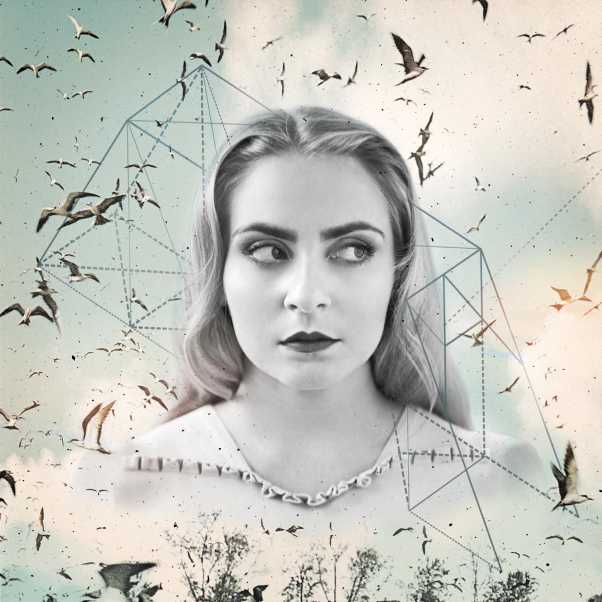 Afbeelding van Eivør Pálsdóttir - Bridges
