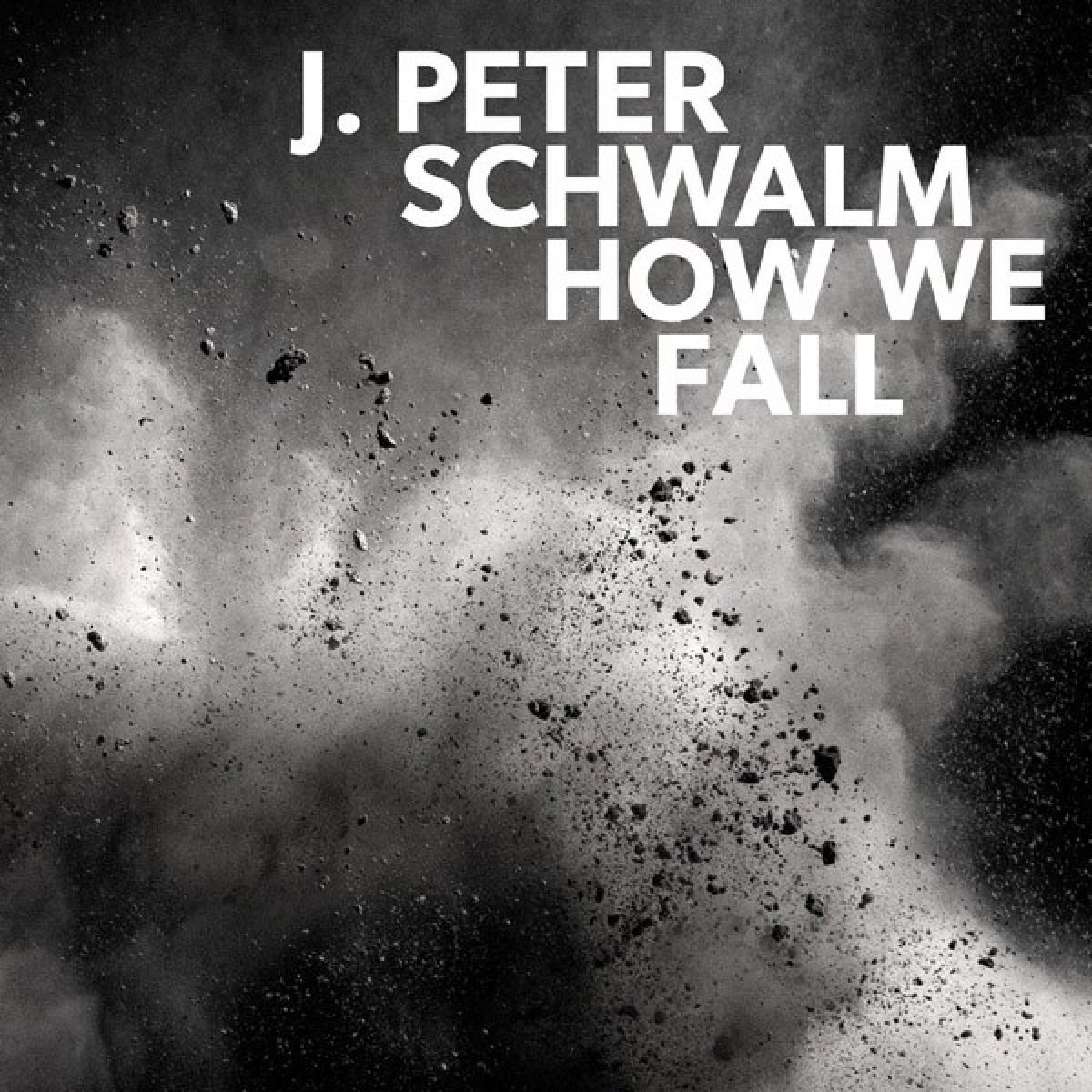 Afbeelding van J. Peter Schwalm - How We Fall