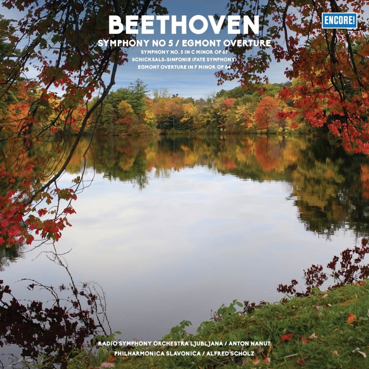 Afbeelding van Radio Symphony Orchesta Ljubljana & Philharmonic Slavonica - Beethoven: Symphony No.5