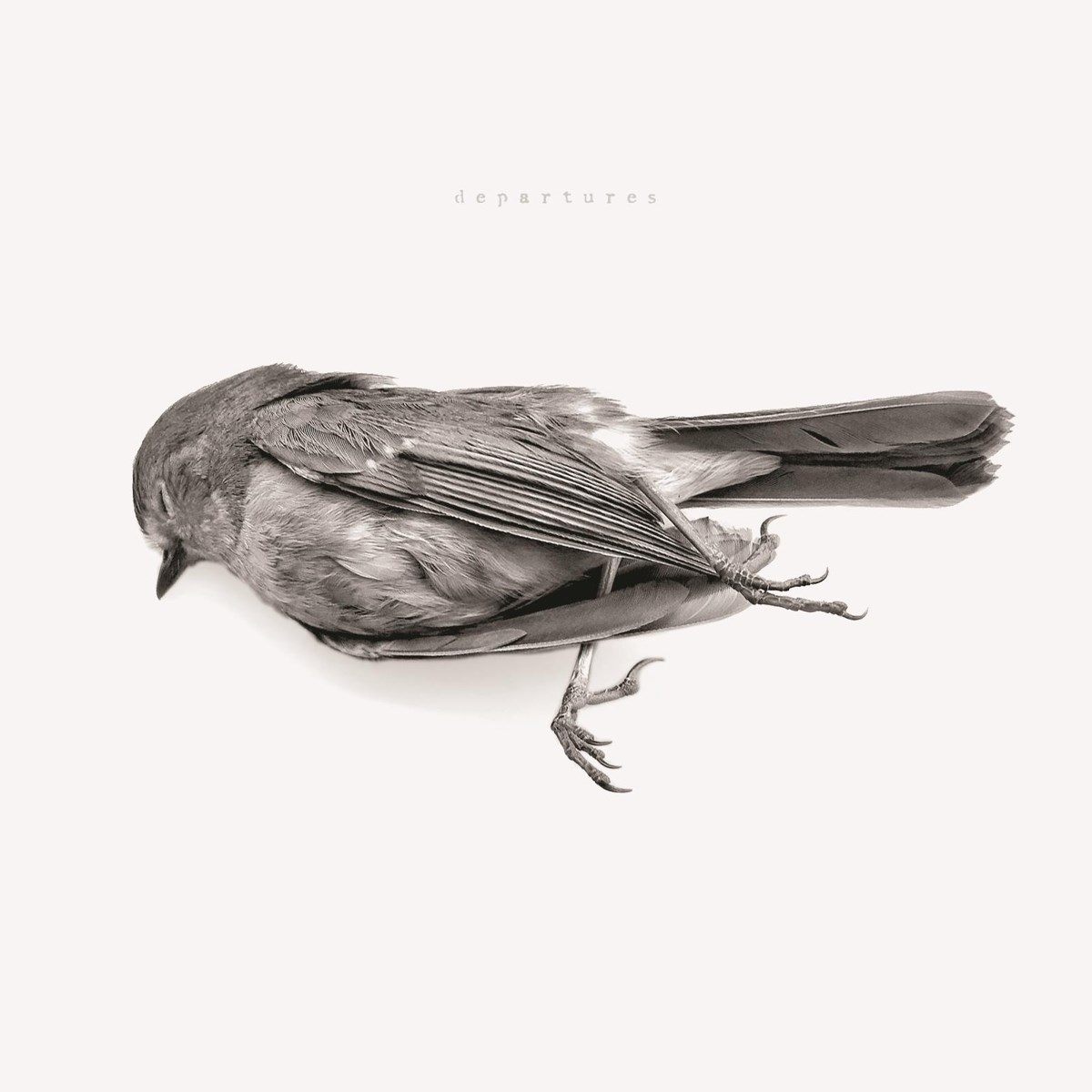 Afbeelding van Downriver Dead Men Go - Departures