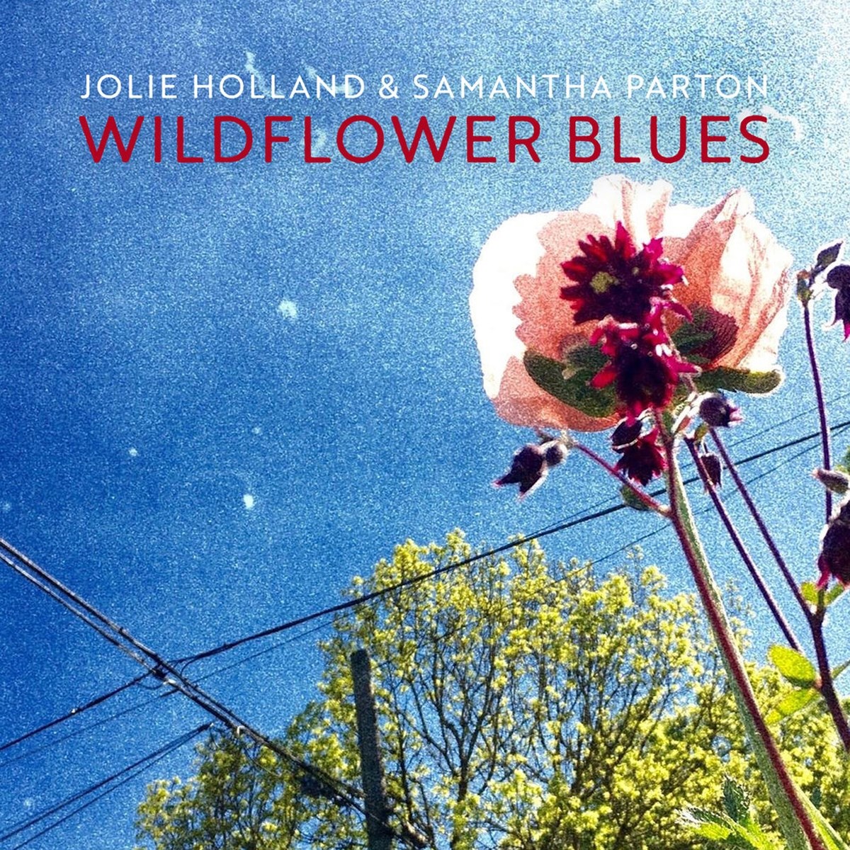 Afbeelding van Jolie Holland & Samantha Parton - Wildflower Blues