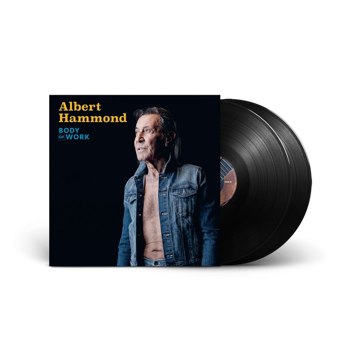 Afbeelding van Albert Hammond - Body Of Work