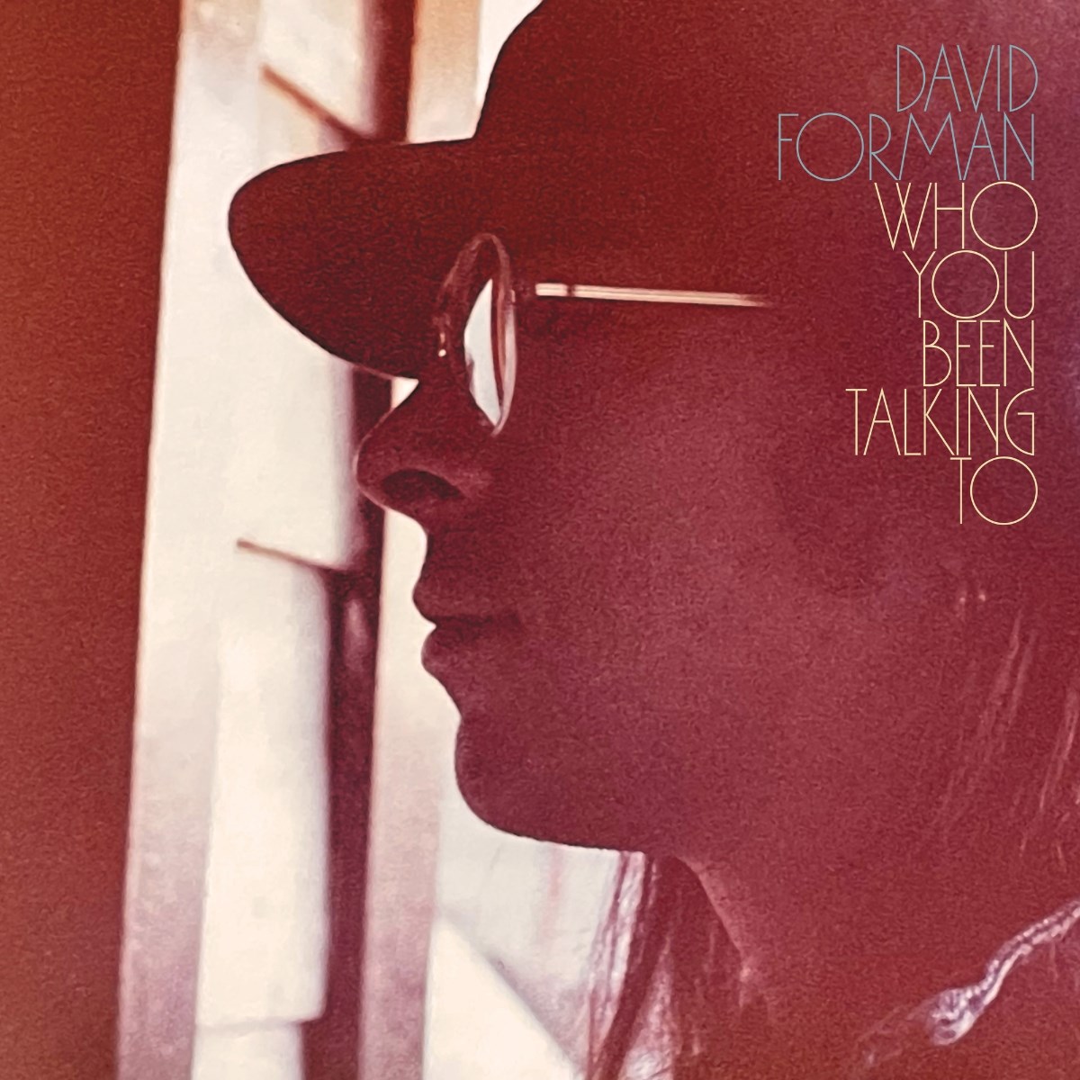 Afbeelding van David Forman - Who You Been Talking To