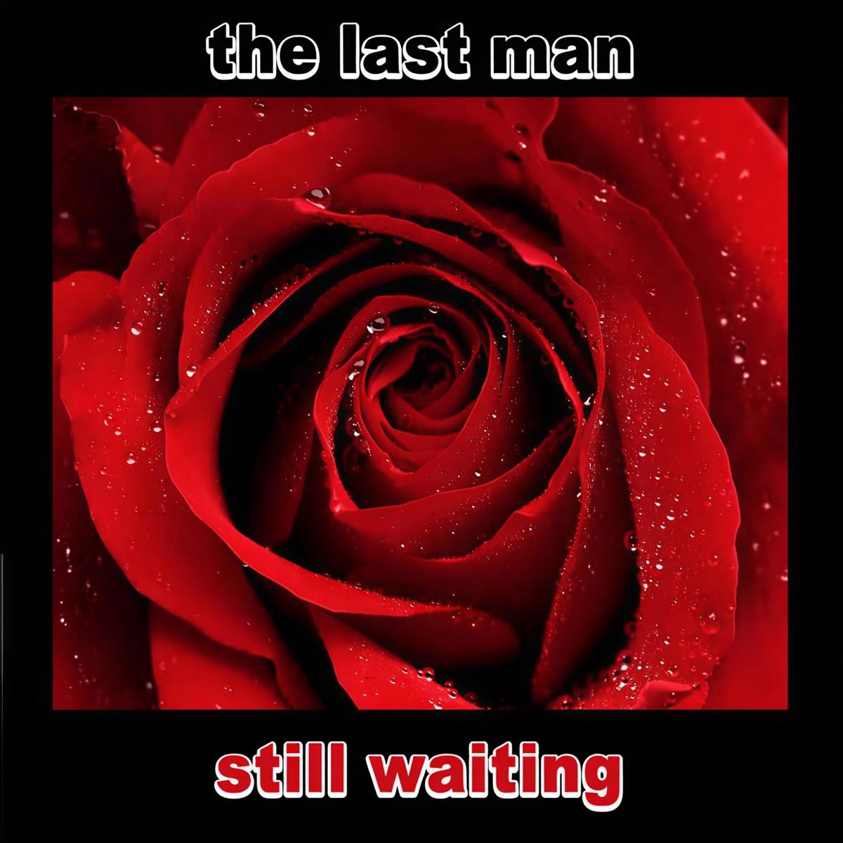 Afbeelding van The Last Man - Still Waiting