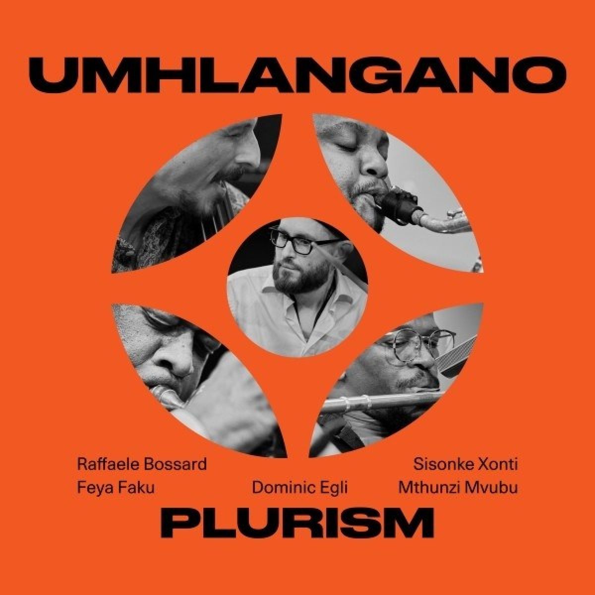 Afbeelding van Dominic Egli's Plurism - Umhlangano