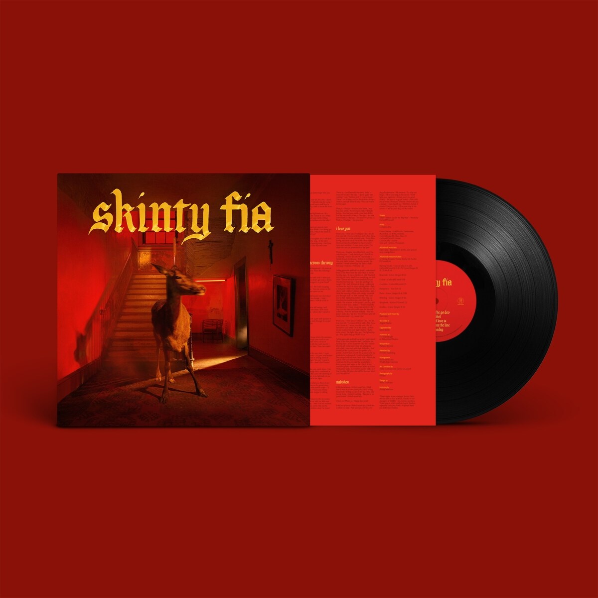 Afbeelding van Fontaines D.C. - Skinty Fia